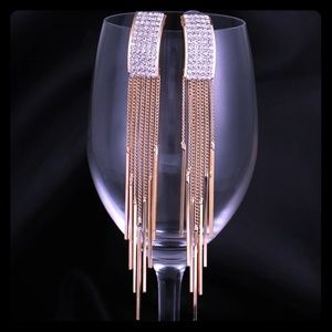 Fashion Long earrings.